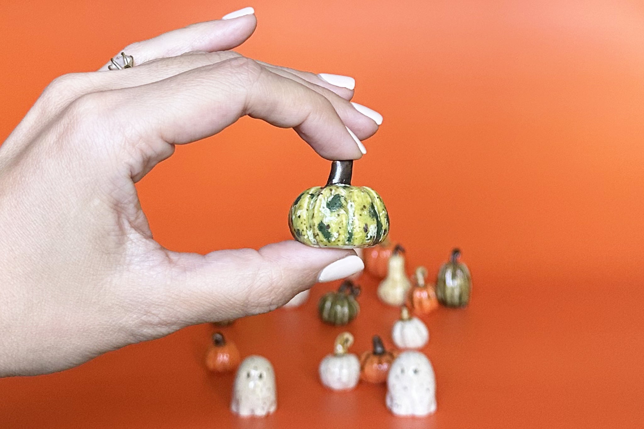 Mystery Mini Pumpkin or Mini Ghost