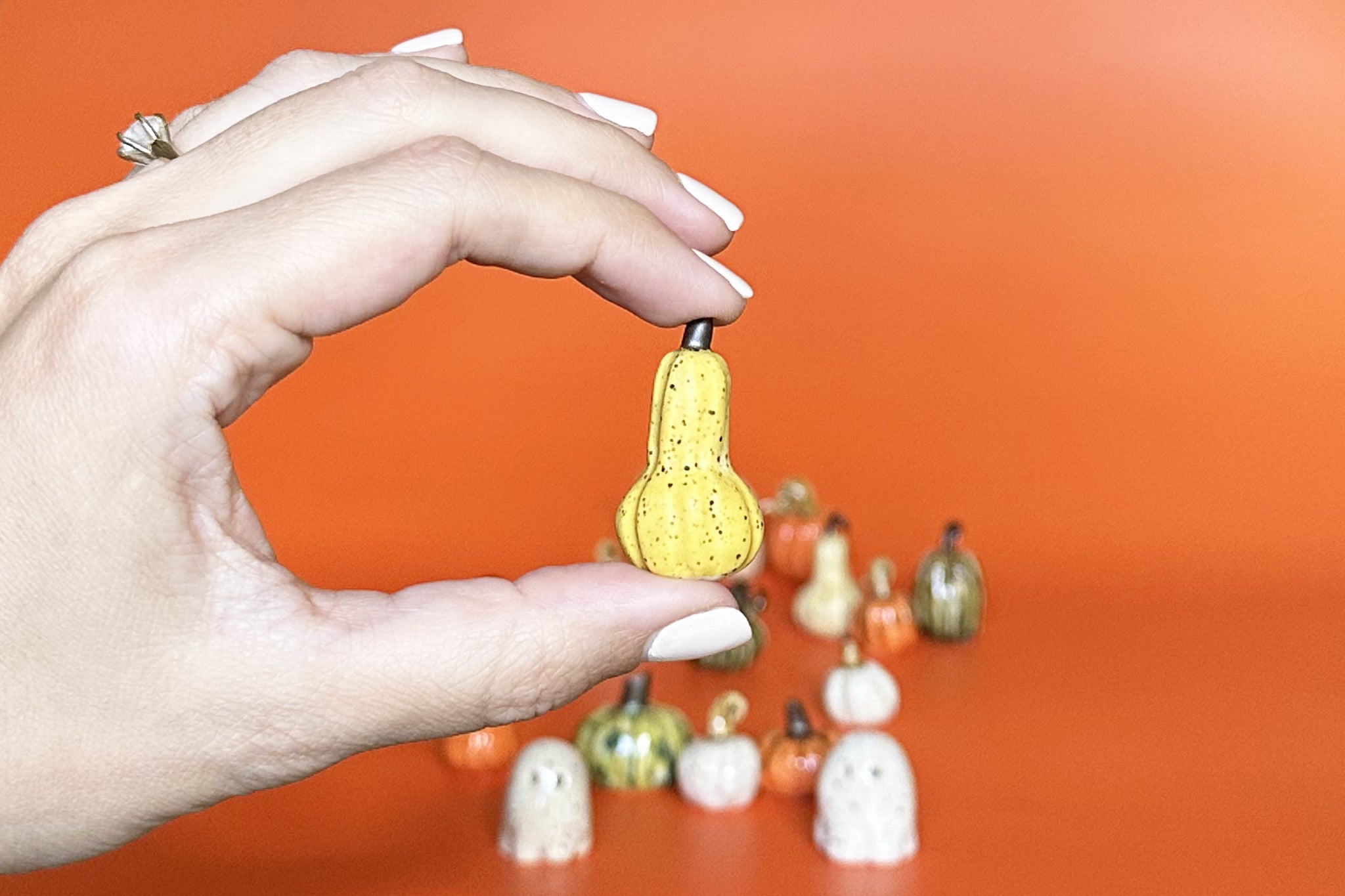 Mystery Mini Pumpkin or Mini Ghost