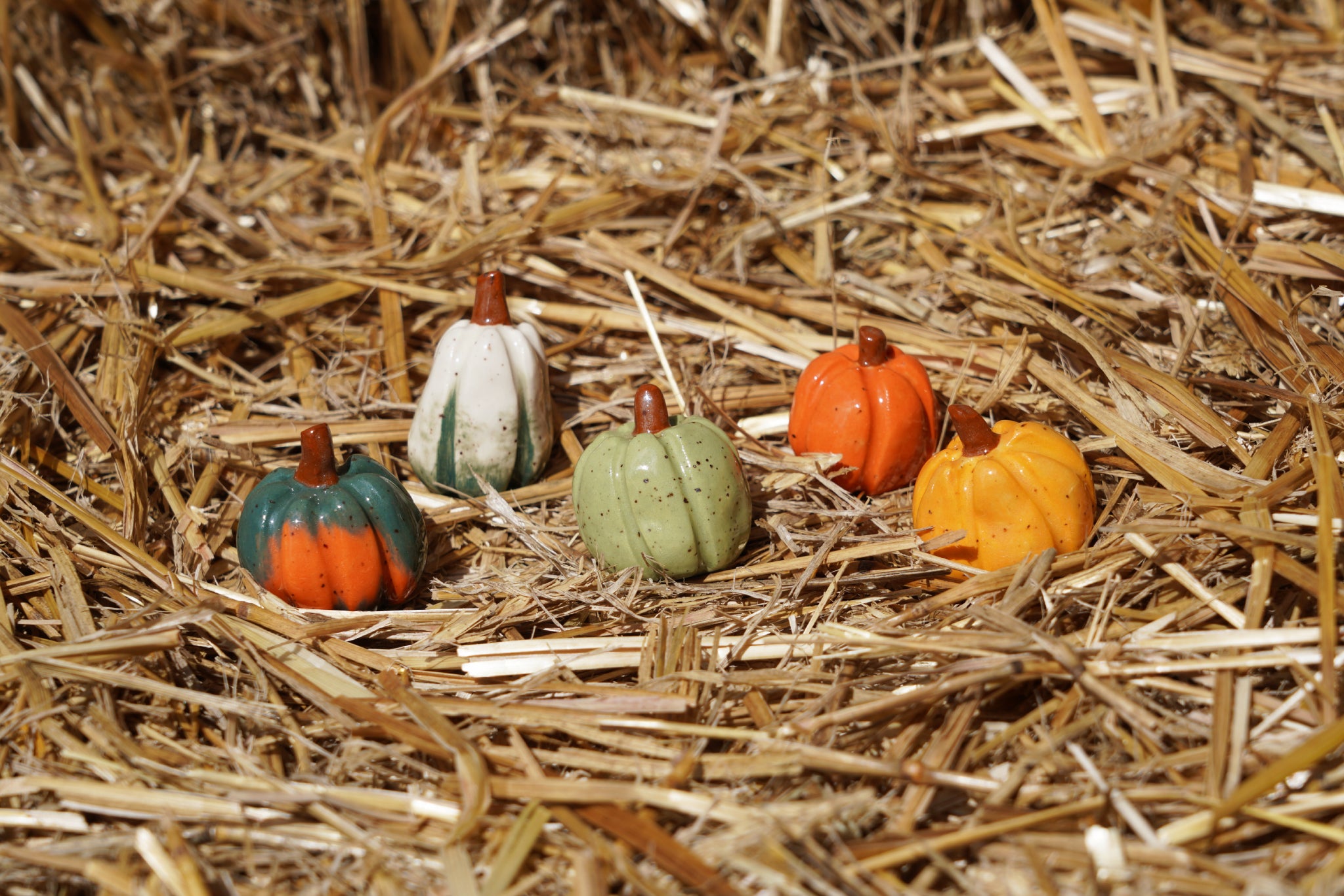 Mystery Mini Pumpkin